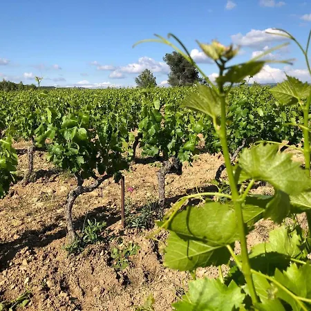 Le Cocon Des Lecques - 37M2 - 500M De La Plage & Port - Wi-Fi - Parking - Calme Les Lecques