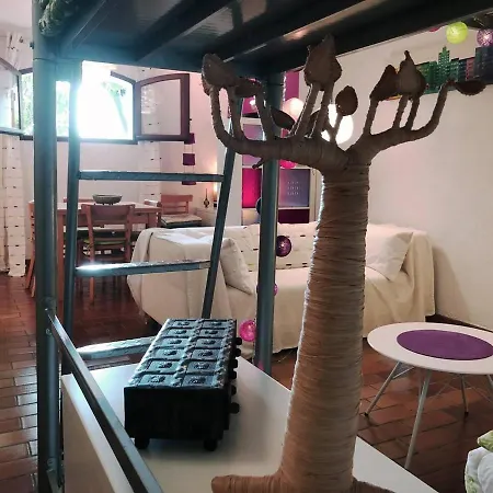 Apartment Le Cocon Des Lecques - 37M2 - 500M De La Plage & Port - Wi-Fi - Parking - Calme *